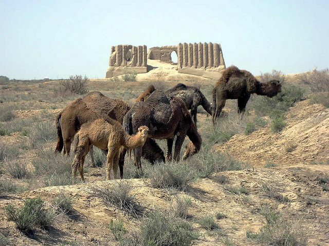 国立歴史文化公園”古代メルフ”の写真2