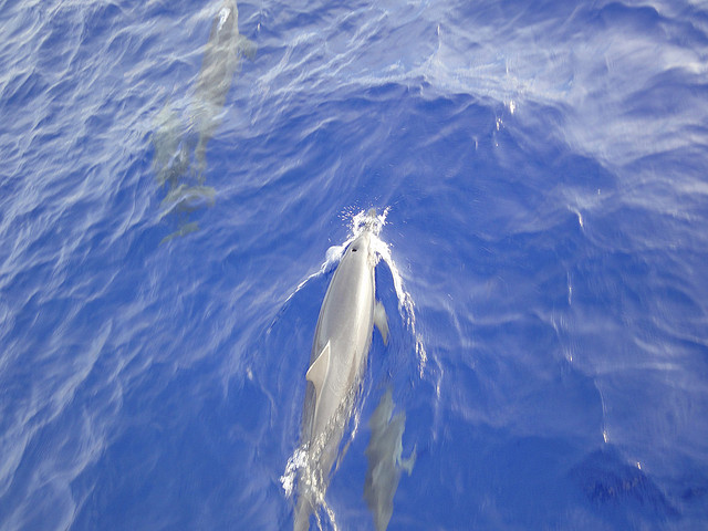 グアムの写真15