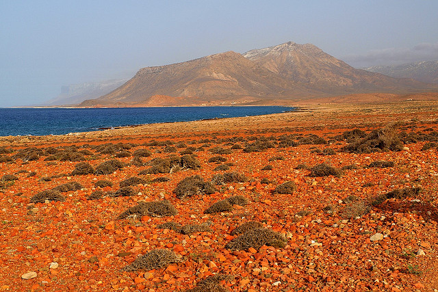 ソコトラ諸島の写真13