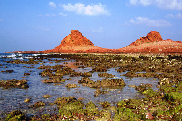 ソコトラ諸島の写真15
