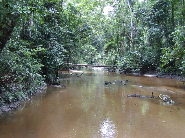 ロペ・オカンダの生態系と残存する文化的景観