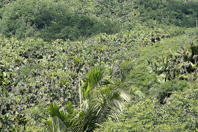 メ渓谷自然保護区