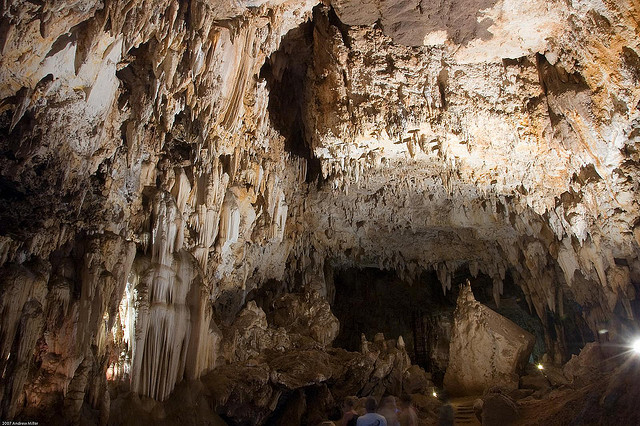 スタークフォンテン、スワートクランズ、クロムドライの人類化石遺跡群及び周辺地域
