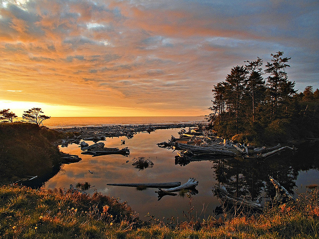 オリンピック国立公園