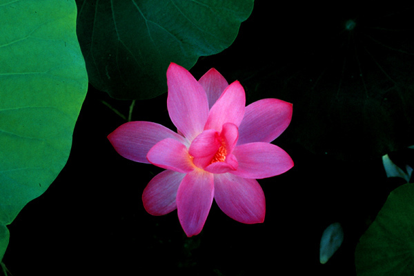 カカドゥ国立公園