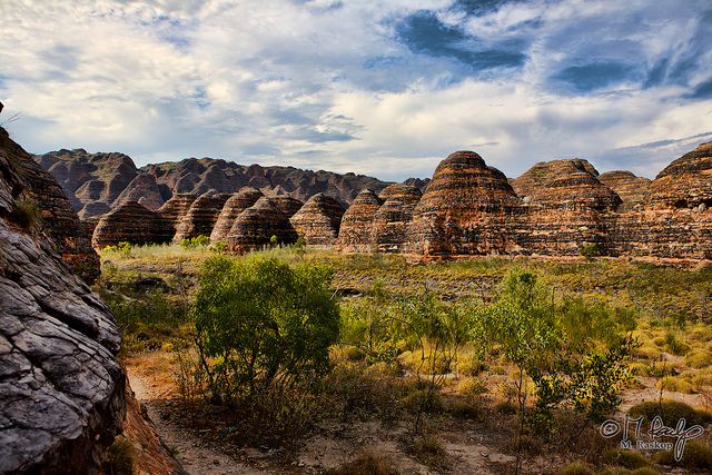 パーヌルル国立公園　