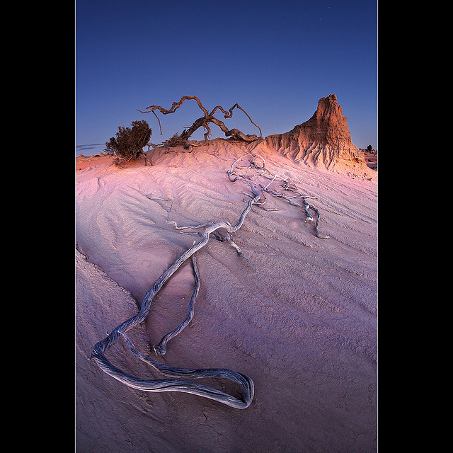 ウィランドラ湖群地域