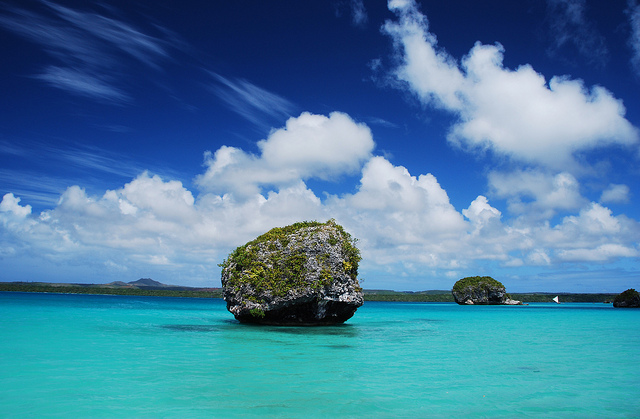 ニューカレドニアのラグーン：リーフの多様性とその生態系